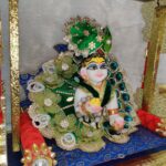 Beautiful morpankh design poshak. - Image 3