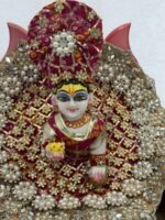 Rajasthani Bandhej premium poshak. - Image 4