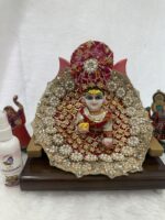 Rajasthani Bandhej premium poshak.